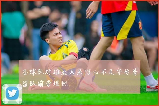 各球队对雄鹿未来信心不足字母哥留队前景堪忧