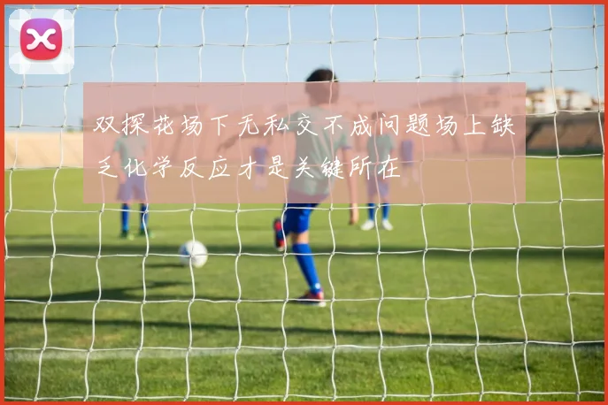 双探花场下无私交不成问题场上缺乏化学反应才是关键所在